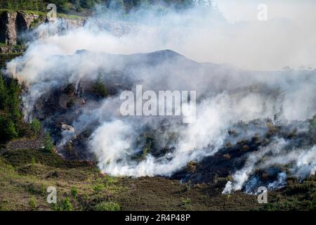 Gelli, Wales, 29 May, 2023:   Fire fighters tackle a blaze above Gelli Industrial Estate, Rhondda Valley in South Wales.(Pic by Andrew Dowling) Credit: Andrew Dowling/Alamy Live News Stock Photo