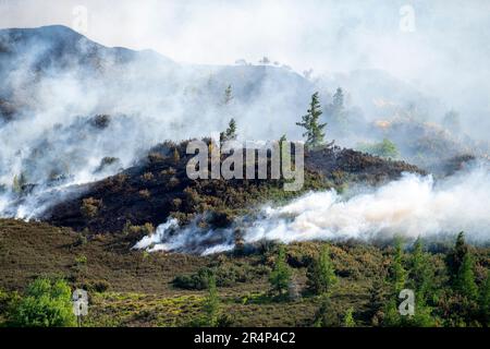 Gelli, Wales, 29 May, 2023:   Fire fighters tackle a blaze above Gelli Industrial Estate, Rhondda Valley in South Wales.(Pic by Andrew Dowling) Credit: Andrew Dowling/Alamy Live News Stock Photo