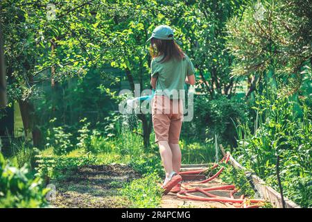 Little girl watering blooming tree with watering pot in the garden. Kid helping her parents to take care of plants. Grow fruits in the garden. Childre Stock Photo