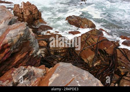 Cape horn South Africa, southernmost tip south africa Stock Photo