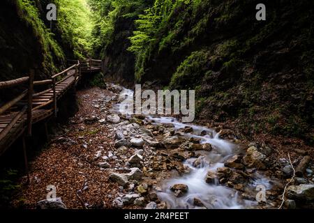 View of rugged wilderness of the Dr. Vogelgesang-Klamm in Spital am Pyhrn, Austria, a narrow gorge with wild whitewater creek tumbling down the rocks Stock Photo