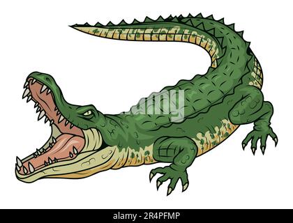 Crocodile. Vector illustration of a angry alligator. Marine or river predatory Stock Vector