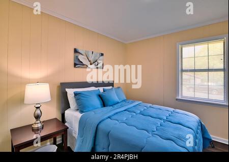 A modern bedroom with a splash of color added. Stock Photo