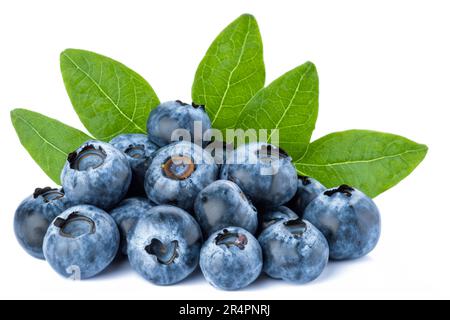 Fresh blueberries with leaves isolated on white background Stock Photo