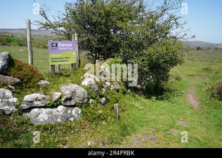 Emsworthy Mire, UK - May 2023: Entrance to abandoned ancient farm at Emsworthy Mire in Dartmoor, part of the Devon Wildlife Trust Stock Photo