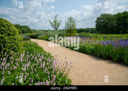 Flowerbeds in the Welcome garden at RHS Bridgewater, Worsley Greater Manchester, England. Stock Photo