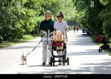 Two young women walking with baby pram and dog on city street. Young mother, leisure at warm weather Stock Photo