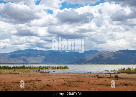 Lake Jipe bordered Tanzania and Kenya, Africa. Stock Photo