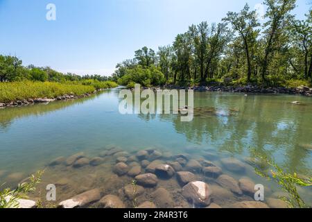 Bow River views in Calgary, Alberta during summer time with secluded pond seen in the city during spring time. Stock Photo