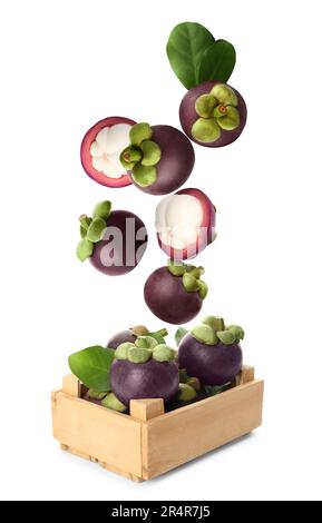 Many ripe mangosteen fruits and leaves falling into wooden crate on white background Stock Photo