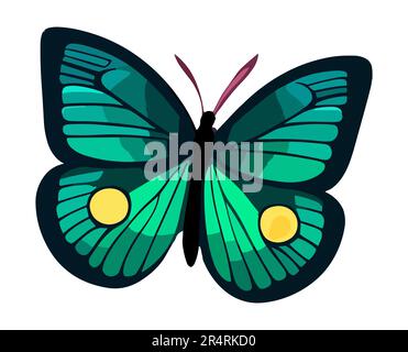 Butterfly set isolated on white background, Vector illustration Stock ...