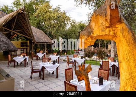 Outdoor dining at Onguma Forest Camp, Onguma Game Reserve, Namibia, Africa Stock Photo