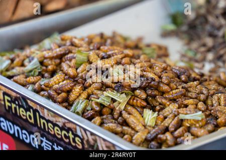 Fried insects is one of the famous snack in Thailand. Stock Photo