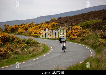 Rear view of a lone cyclist in the Wicklow Mountains on the road to Sally Gap Stock Photo