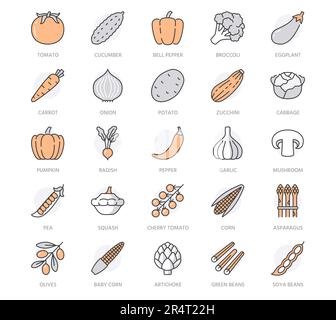 Vegetables flat line icons set. Fresh food - tomato, broccoli, corn, pepper, carrot, pumpkin vector illustrations. Outline pictogram for vegetarian Stock Vector