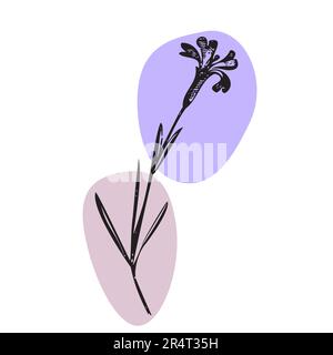 Botanical hand drawn wildflower on color patch isolated white background. Vintage creative flower bouquet. Vector illustration greeting card, design, Stock Vector