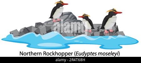 Northern rockhopper penguin on the rock illustration Stock Vector