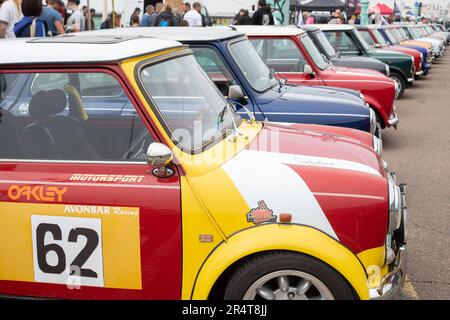 Brighton, UK - May 19 2019:  A row of Mini cars taking part in the London Brighton Mini Run 2019 stretch into the distance. Stock Photo