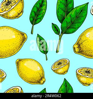 Lemon seamless pattern. Colorful hand drawn vector illustration in sketch style. Tropical exotic citrus fruit summer background Stock Vector