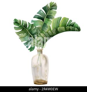 Tropical leaves of monstera, palm tree banana in transparent vase bottle watercolor illustration. Trendy summer clipart Stock Photo