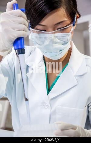 Chinese Asian woman female medical scientist, scientific researcher or doctor using a pipette and cell tray in a medical research lab or laboratory Stock Photo