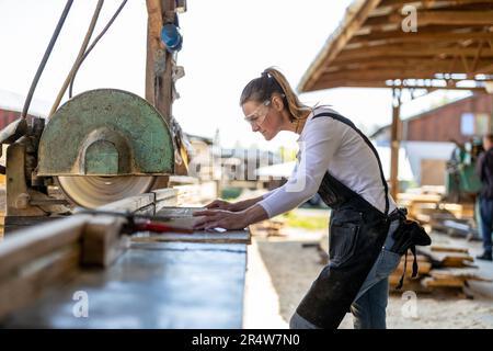Carpenter cutting plank by circular saw in a sawmill Stock Photo
