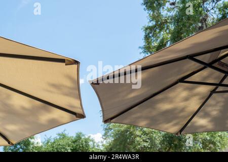 Multiple large summer nylon patio shade umbrellas, beige and yellow in color, opened with brown wooden supports. The sun is shining through the cloth. Stock Photo