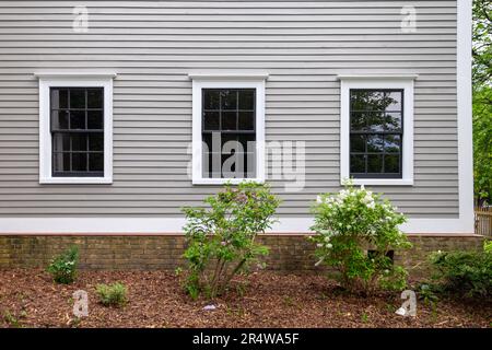 On a tan wooden wall, three double hung windows with black wood frames and multiple glass panes. The wall has narrow clapboard with white trim. Stock Photo