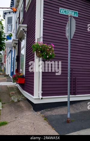 A street view of the corner of Victoria Street and Gower Street, St. John's, Newfoundland, with a large wooden purple colored wooden historic downtown Stock Photo