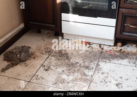 Dirty kitchen floor. Very dirty light tile floor in the kitchen. Unwashed gas stove and dirty kitchen furniture under the rays of the sun Stock Photo