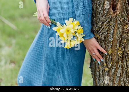 Woman hands hold daffodils close up, connected with tree, cottagecore, mindfulness, self-exploration concept Stock Photo