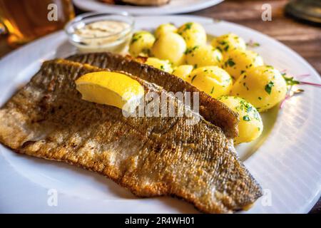 Golden fried zander fish with potato and tartar sauce, beer at restaurant table. Stock Photo