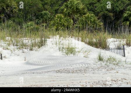 Sand dunes and vegetation on Hilton Head Island beach, South Carolina Stock Photo
