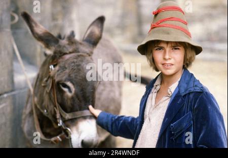 Sans famille An Orphan's Tale TV series (1981) France Director: Jacques Ertaud Fabrice Josso  Shooting picture Stock Photo