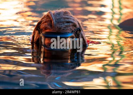 Avatar: The Way of Water Year : 2022 USA Director : James Cameron Jack Champion Stock Photo