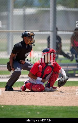 Umpire Sam Glickman and Boston Red Sox catcher Brooks Brannon (17