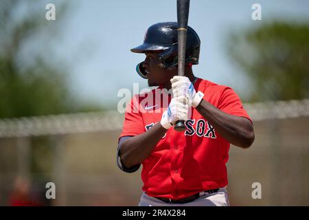 Boston Red Sox Deundre Jones (77) catches a fly ball during an Extended  Spring Training baseball game against the Minnesota Twins on May 4, 2023 at  Century Link Sports Complex in Fort