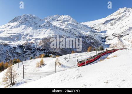 Alp Grum, Switzerland - November 05. 2021 : Red train from Rhaetian Railway is passing the train tracks with tight 180° curve at high Alp Grum. The Pi Stock Photo