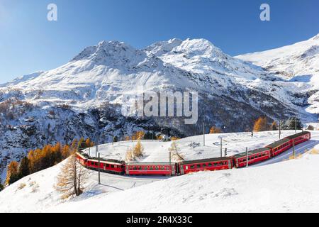 Alp Grum, Switzerland - November 05. 2021 : Red train from Rhaetian Railway is passing the train tracks with tight 180° curve at high Alp Grum. The Pi Stock Photo