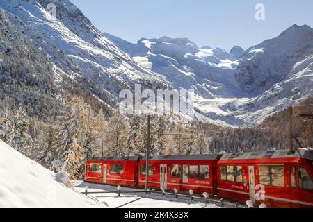 Pontresina, Switzerland - November 05, 2021: A red passenger Rhaetian Railway train with snow-covered Bernina massif and Morteratsch Glacier in the ba Stock Photo