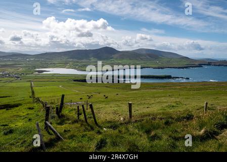 Scenic view from Sybil Head of the Atlantic coastal villages and grassy farmland with livestock grazing in the fields on Dingle Peninsula Stock Photo