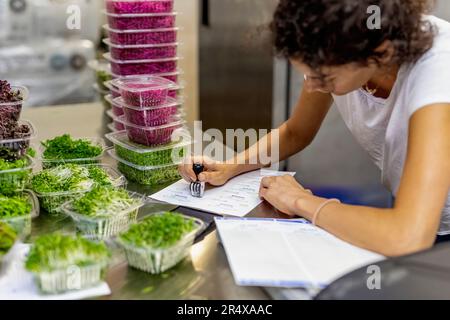 Worker packaging microgreens in containers for shipping; Edmonton, Alberta, Canada Stock Photo
