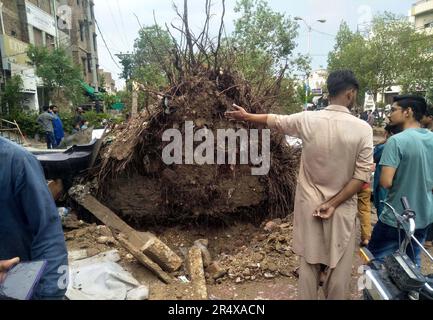 View of damages caused by heavy raining coupled with winds system ...