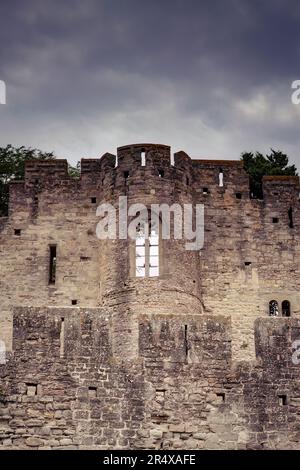 Carcassonne fortifications, aude, Occitania in the South of France Stock Photo