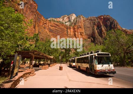 Shuttle bus in Zion National Park, Utah, USA; Utah, United States of America Stock Photo