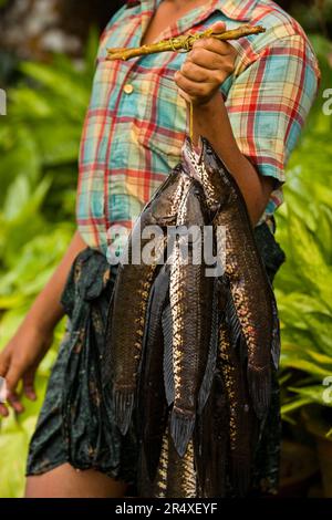 Fisherman shows off his catch in Kerala, India; Kerala, India Stock Photo