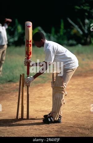 Boy playing a game of Cricket in the Commonwealth of Dominica. Due to the British occupation, which ended in 1978, local children know how to play ... Stock Photo