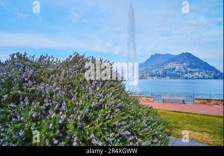 Steet view of exclusive living buildings Palazzo Mantegazza and Centro  Cinque Continenti by Riva Paradiso street in Lugano-Paradiso, Canton of  Ticino Stock Photo - Alamy