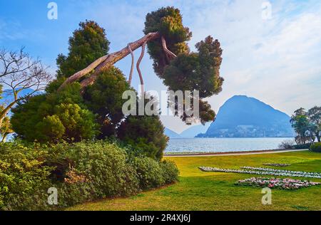 The lush trees, green lawn and flower beds in Parco Ciani (Parco Civico) on embankment of Ceresio with a view on Monte San Salvatore in background, Lu Stock Photo