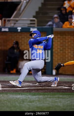 Florida Gators left fielder Wyatt Langford (36) warms up between innings  during the game against the Tennessee Volunteers on Robert M. Lindsay Field  at Lindsey Nelson Stadium on April 7, 2023, in